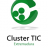 Cluster TIC de Extremadura