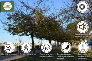 Normal fotos del muro de harca marketing sostenible infografia arbol ciudad marketing sostenible