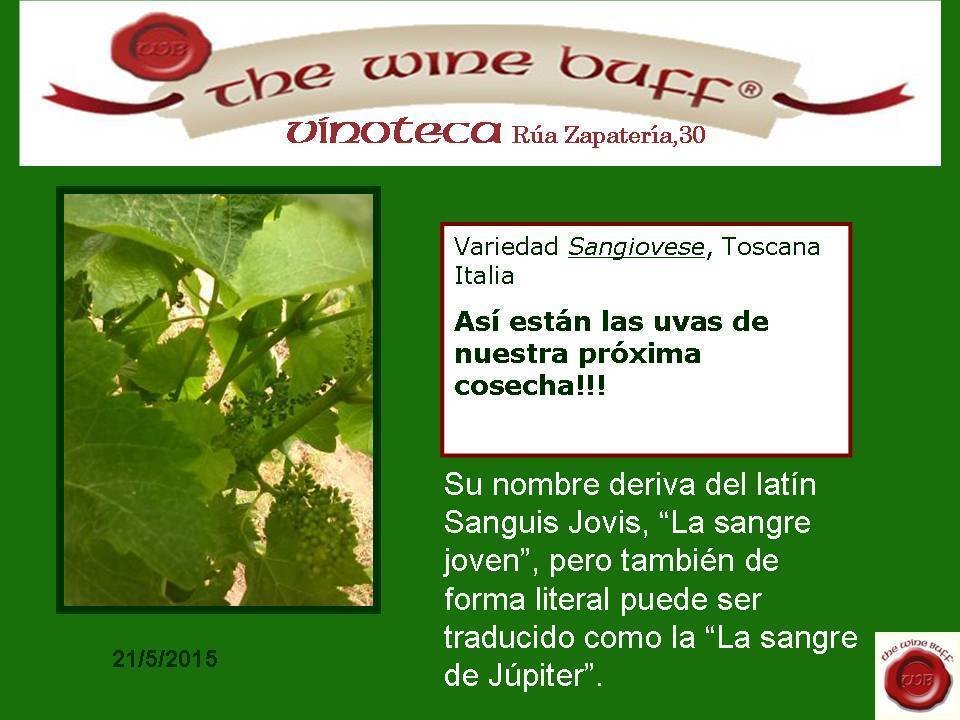 Web fotos del muro de the wine buff sangiovese