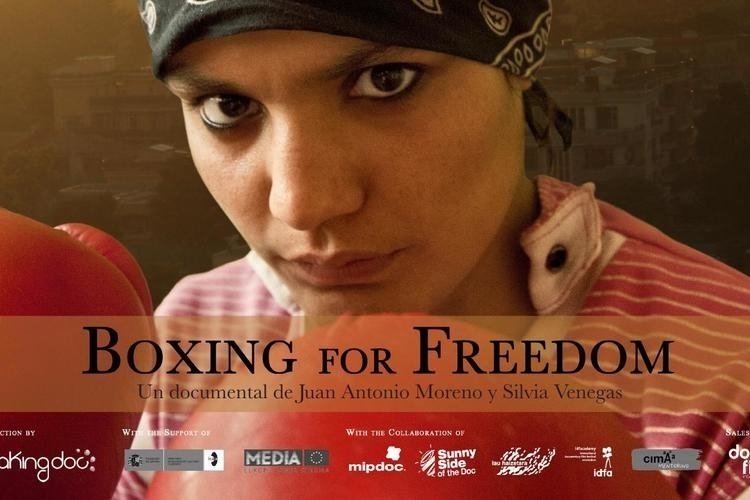 Web fotos del muro de apartamento turistico montesol boxing for freedom