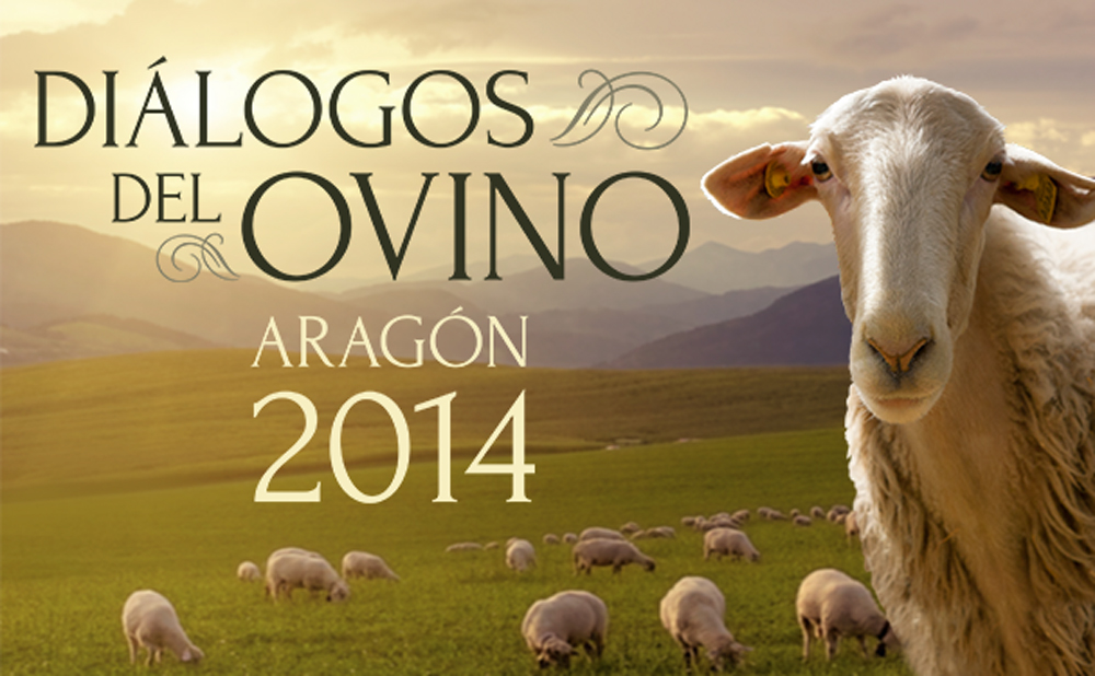 Dialogos del ovino aragon 2014