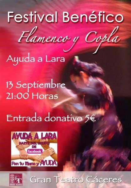 Normal festival benefico de flamenco y copla ayuda a lara