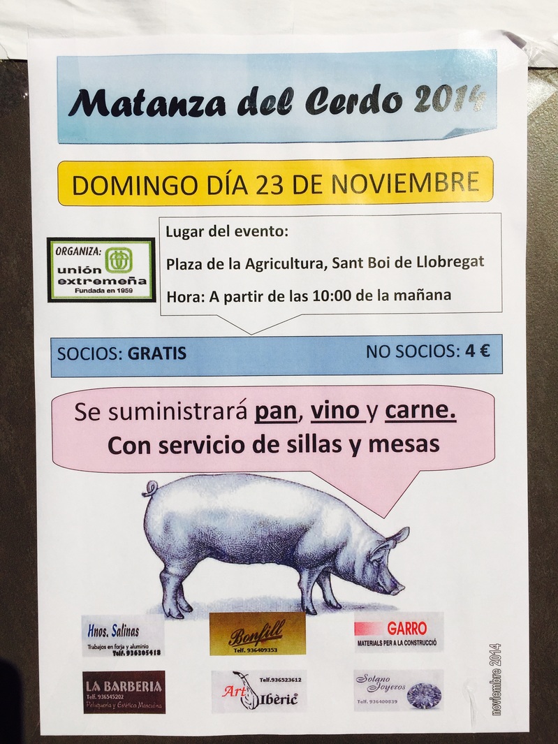Normal matanza del cerdo 2014