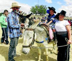 Feria equina, mular y asnal - Cáceres