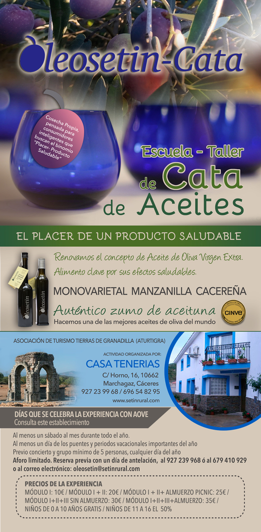 Curso de cata de aceite Oleosetin en Cáceres