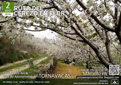 VIII Ruta Senderista del Cerezo en Flor - Valle del Jerte