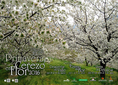 Primavera y Cerezo en Flor en el Valle del Jerte 2016