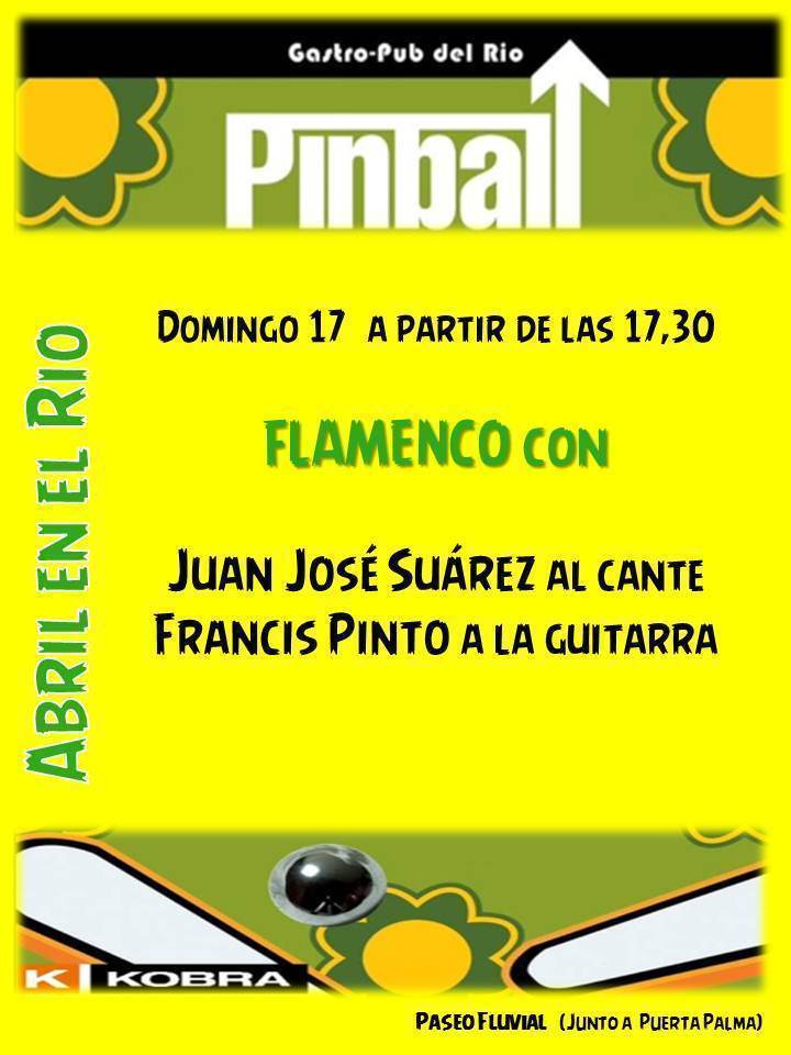 Flamenco en el Río con Pinball