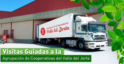 Visitas guiadas a la Agrupación de Cooperativas del Valle del Jerte en Julio