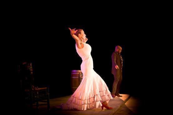 Normal espectaculo flamenco caty palma en el gran teatro de caceres