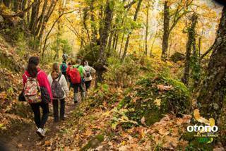 Normal marcha senderista bosques del ambroz 2016