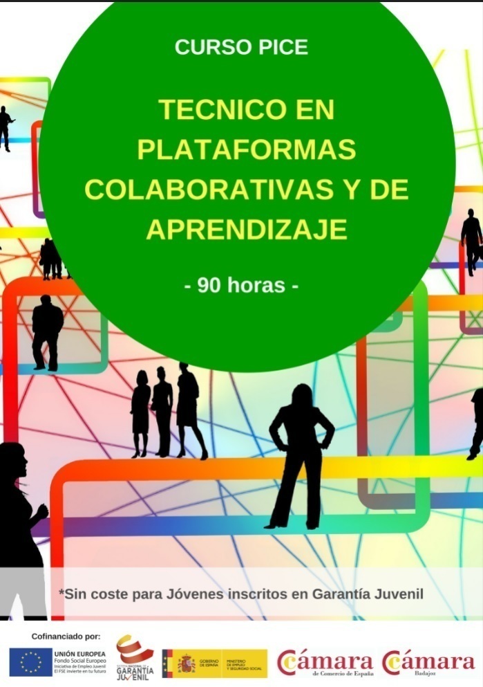 Curso de técnico en plataformas colaborativas y de aprendizaje