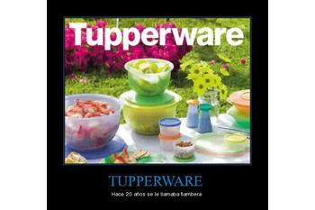 Tupperware y Stanhome