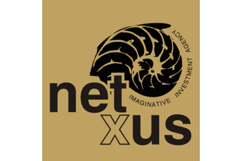 Normal netxus consultores
