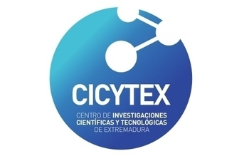 Normal cicytex