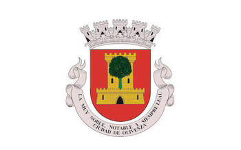 Normal ayuntamiento de olivenza