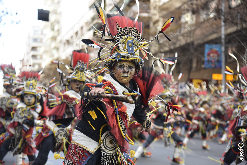 Desfile de comparsas infantiles Carnaval de Badajoz 2019   Desfile infantil de comparsas Carnaval Badajoz 2019 267