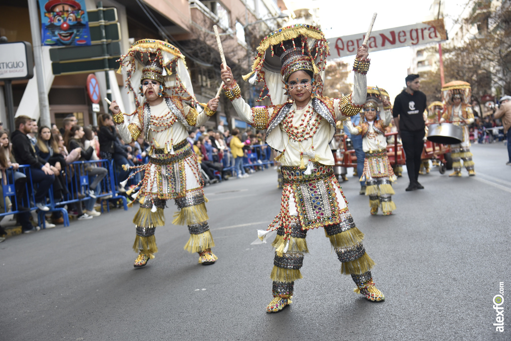 Desfile de comparsas infantiles Carnaval de Badajoz 2019   Desfile infantil de comparsas Carnaval Badajoz 2019 993