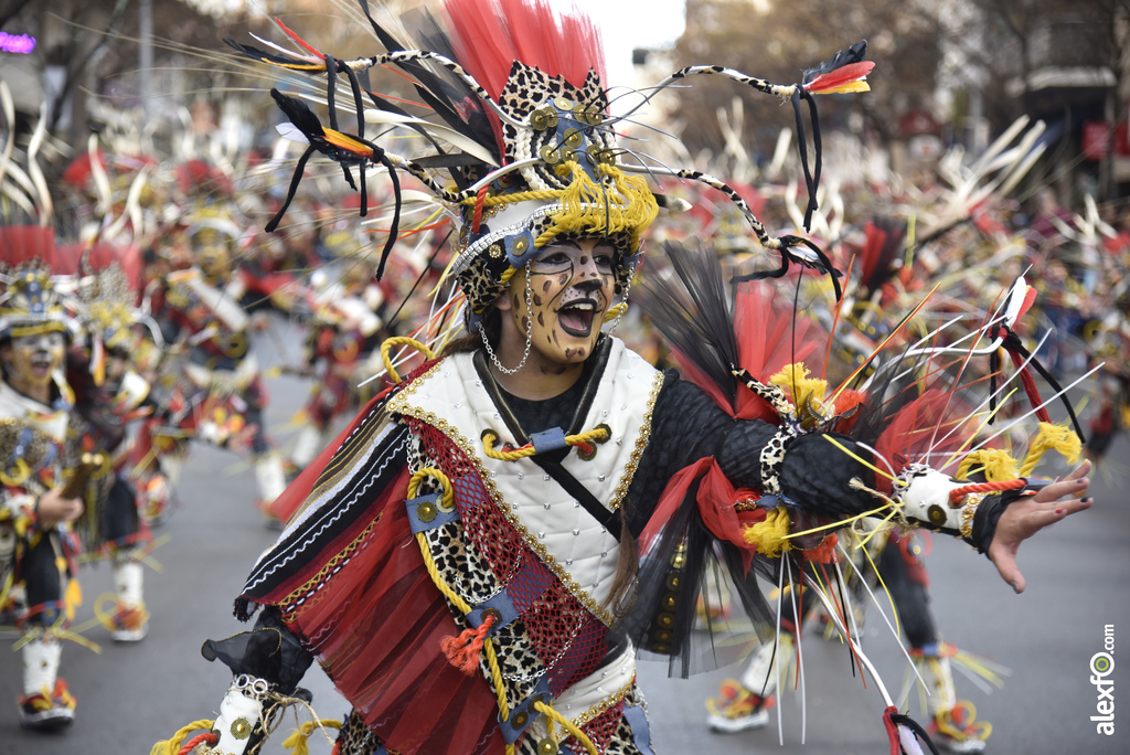 Desfile de comparsas infantiles Carnaval de Badajoz 2019   Desfile infantil de comparsas Carnaval Badajoz 2019 730