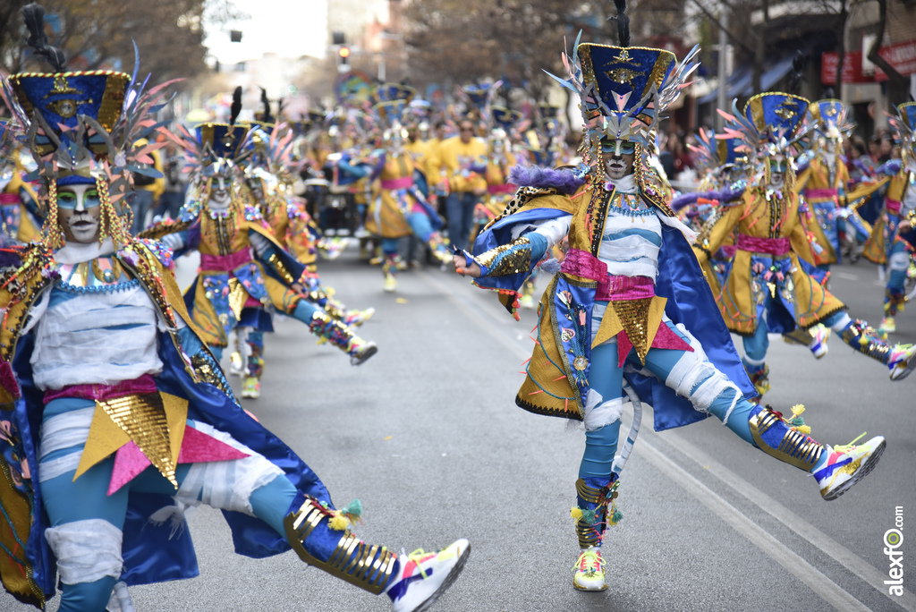 Desfile de comparsas infantiles Carnaval de Badajoz 2019   Desfile infantil de comparsas Carnaval Badajoz 2019 748