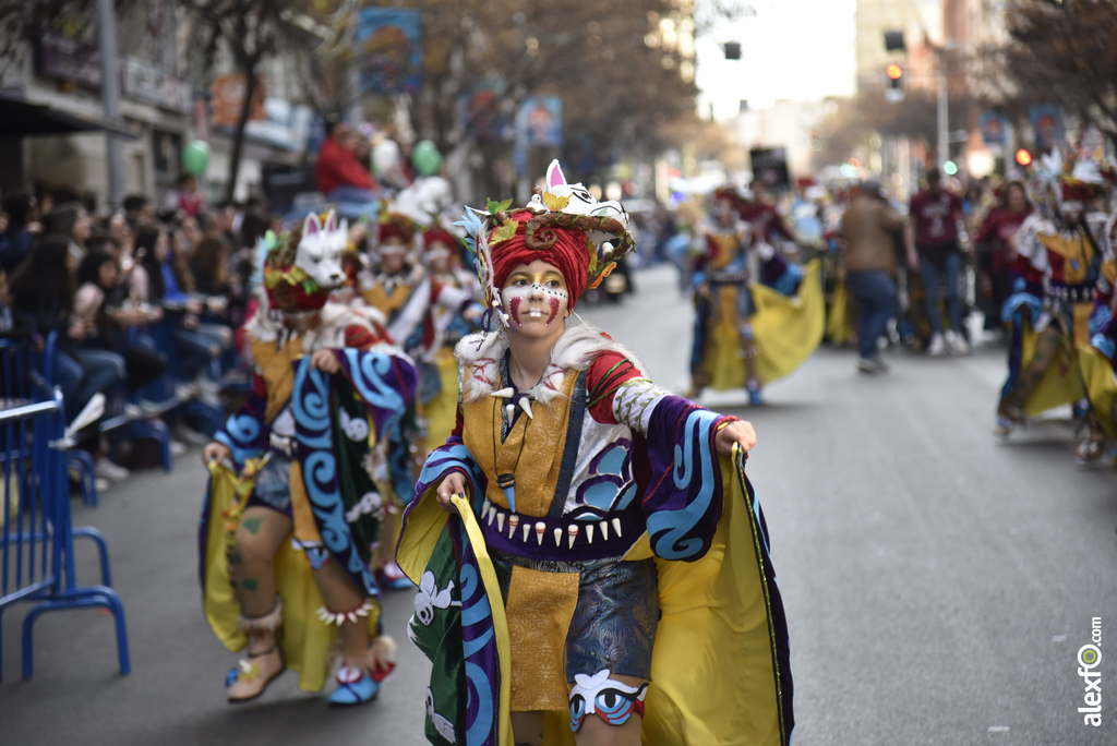 Desfile de comparsas infantiles Carnaval de Badajoz 2019   Desfile infantil de comparsas Carnaval Badajoz 2019 634