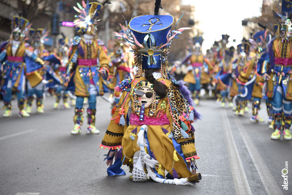 Desfile de comparsas infantiles Carnaval de Badajoz 2019   Desfile infantil de comparsas Carnaval Badajoz 2019 40