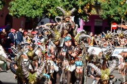 Comparsa shantala desfile de comparsas carnaval de badajoz 2019 12 dam preview
