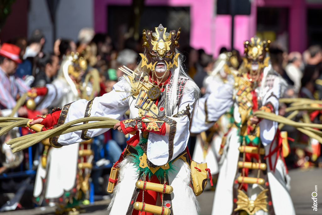 Comparsa Pio -Pio en Desfile de Comparsas Carnaval de Badajoz 2019 3