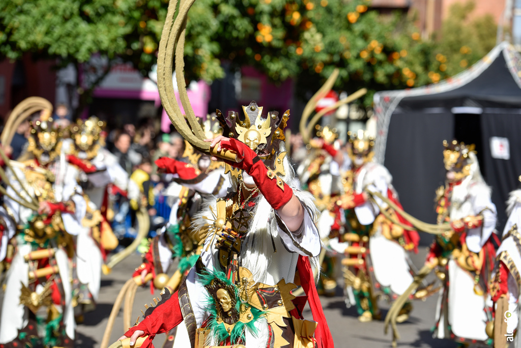 Comparsa Pio -Pio en Desfile de Comparsas Carnaval de Badajoz 2019 9