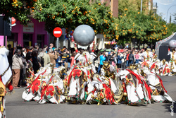Comparsa pio pio en desfile de comparsas carnaval de badajoz 2019 12 dam preview