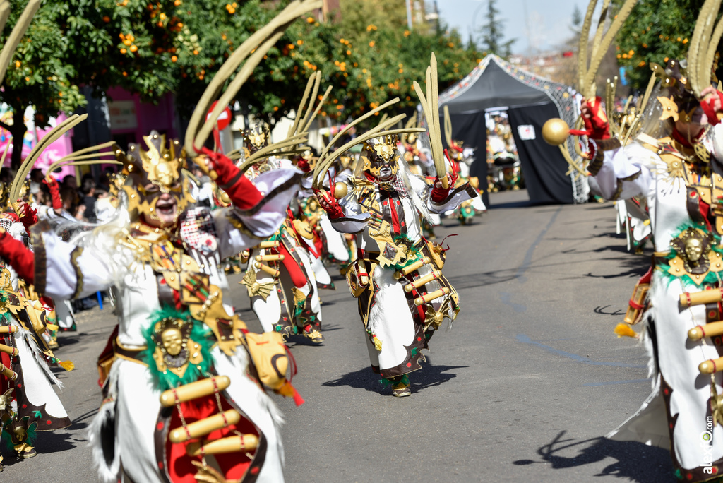 Comparsa Pio -Pio en Desfile de Comparsas Carnaval de Badajoz 2019 10