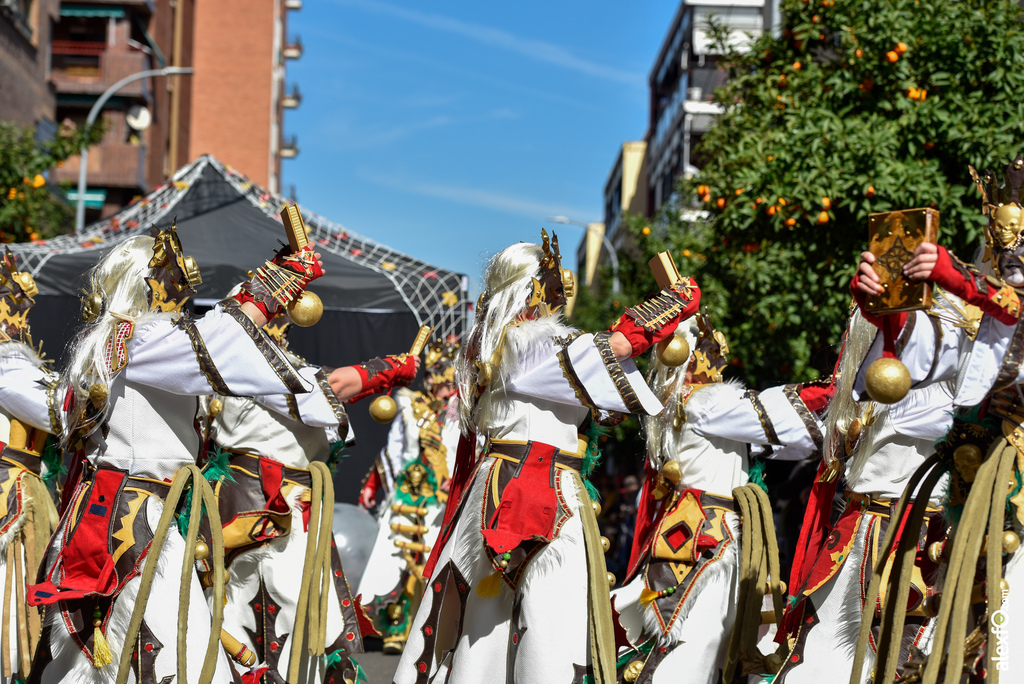 Comparsa Pio -Pio en Desfile de Comparsas Carnaval de Badajoz 2019 15