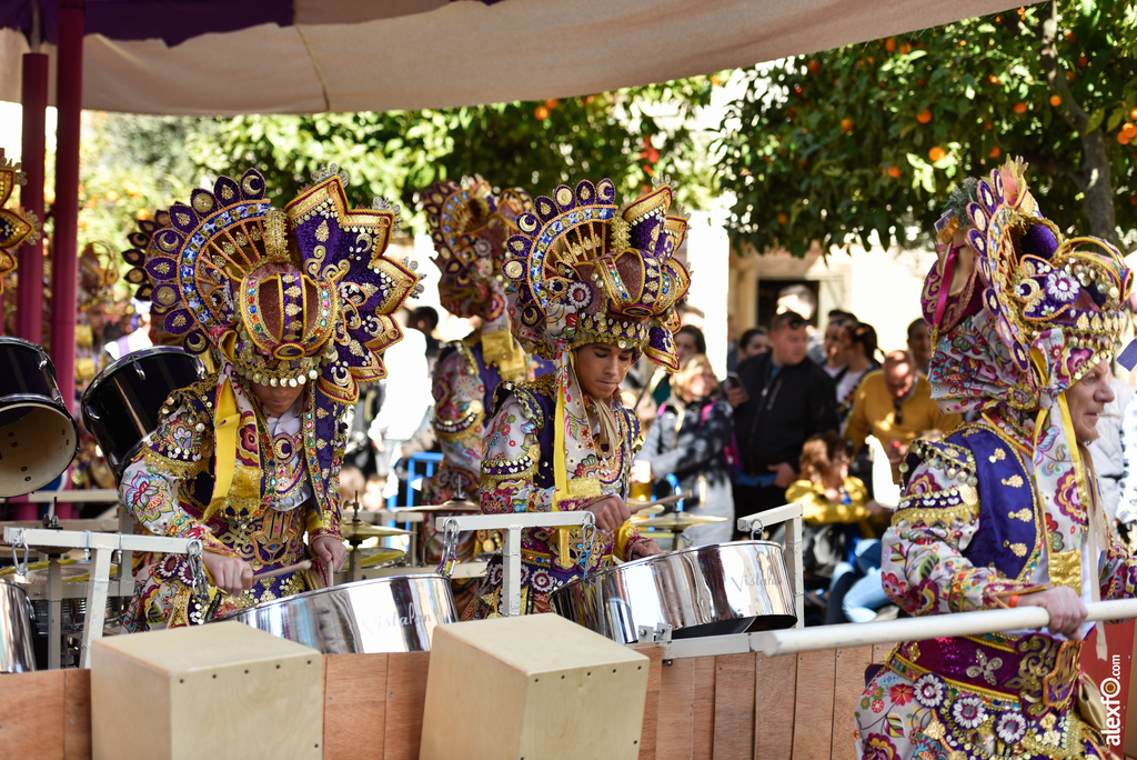 Comparsa Los Tukanes - Desfile de Comparsas Carnaval de Badajoz 2019 10