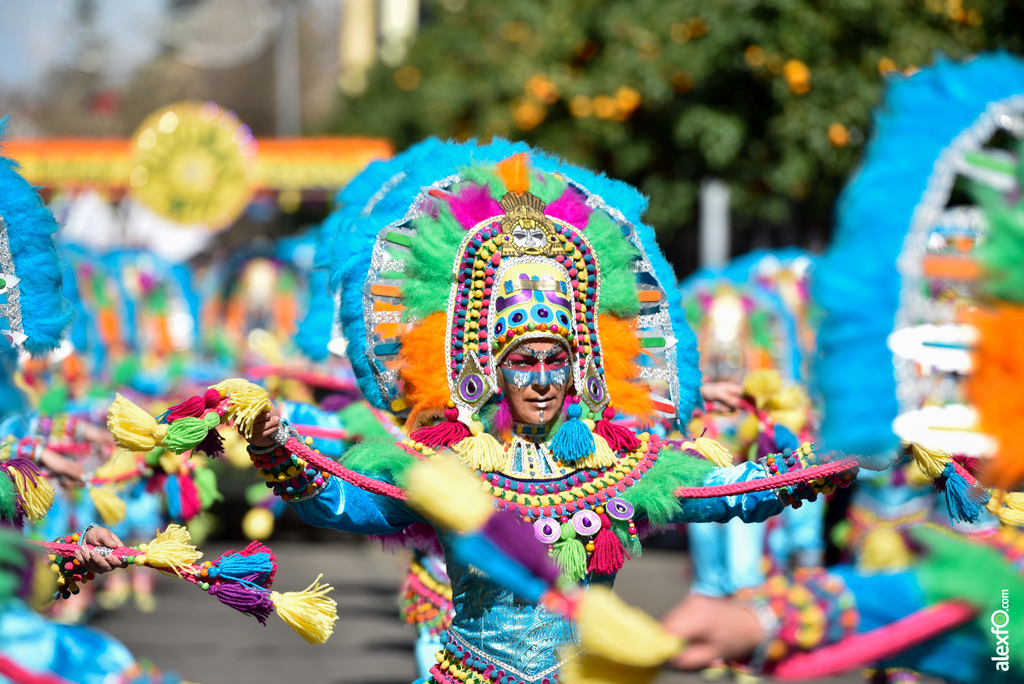 Comparsa Yuyubas - Desfile de Comparsas Carnaval de Badajoz 2019 2
