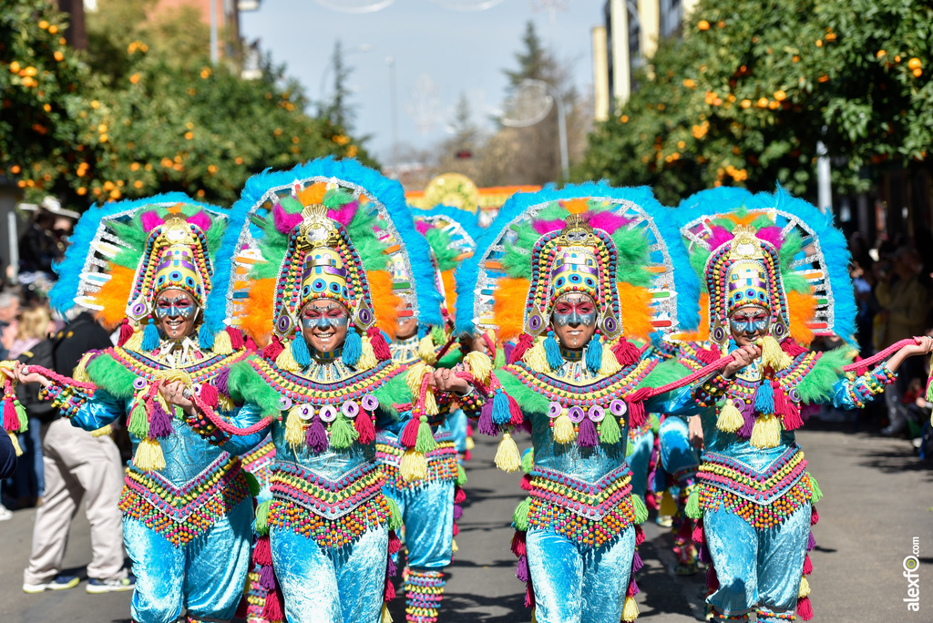 Comparsa Yuyubas - Desfile de Comparsas Carnaval de Badajoz 2019 17