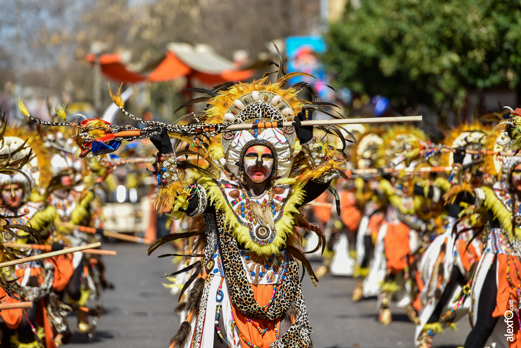 Comparsa Bakumba - Desfile de Comparsas Carnaval de Badajoz 2019 13