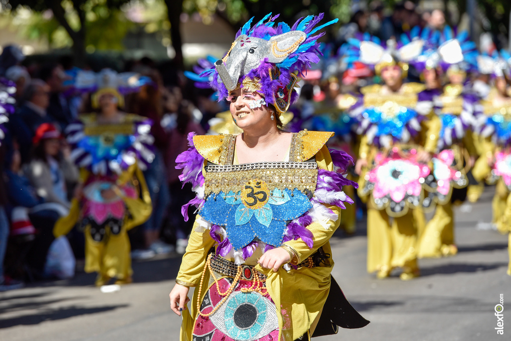 Comparsa Meraki - Desfile de Comparsas Carnaval de Badajoz 2019 5