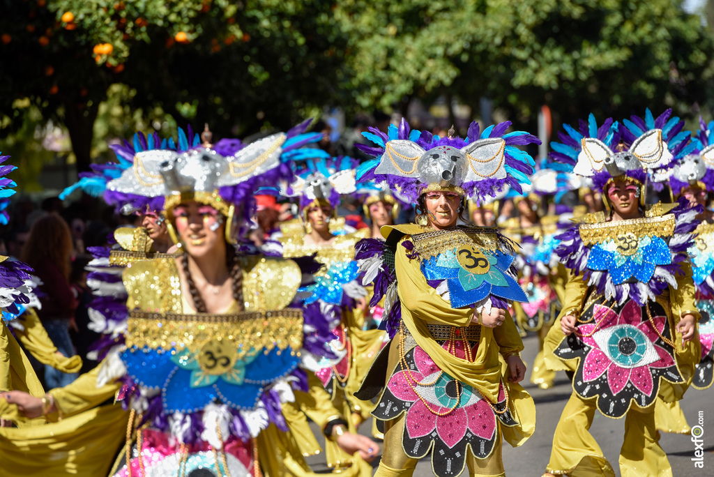 Comparsa Meraki - Desfile de Comparsas Carnaval de Badajoz 2019 7