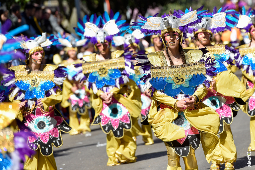Comparsa Meraki - Desfile de Comparsas Carnaval de Badajoz 2019 1