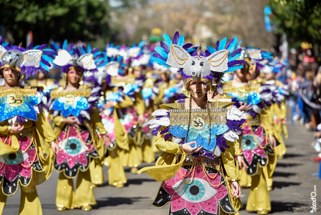 Comparsa Meraki - Desfile de Comparsas Carnaval de Badajoz 2019 6