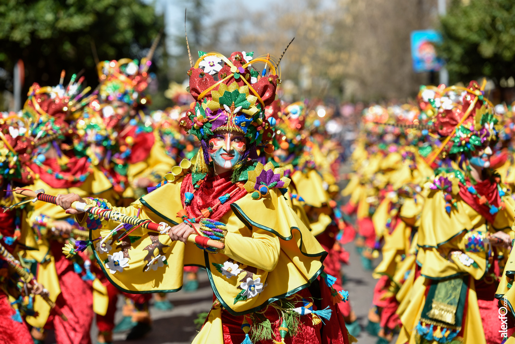 Comparsa Dekebais - Desfile de Comparsas Carnaval de Badajoz 2019 3