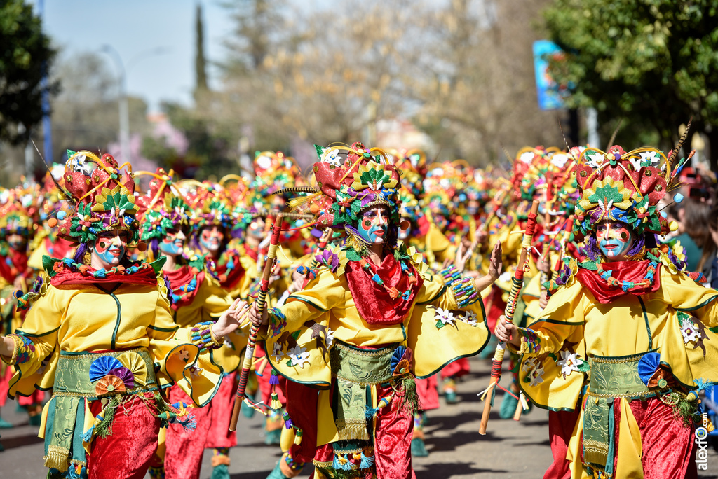 Comparsa Dekebais - Desfile de Comparsas Carnaval de Badajoz 2019 17
