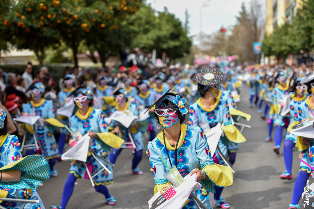 Comparsa La Kochera - Desfile de Comparsas Carnaval de Badajoz 2019 8