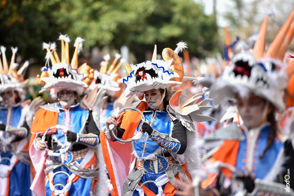 Comparsa Infectos Acelerados - Desfile de Comparsas Carnaval de Badajoz 2019 7