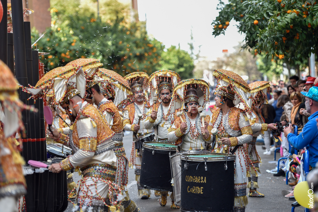 Comparsa Caribe - Desfile de Comparsas Carnaval de Badajoz 2019 7