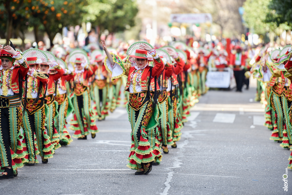 Comparsa Tarakanova - Desfile de Comparsas Carnaval de Badajoz 2019 10