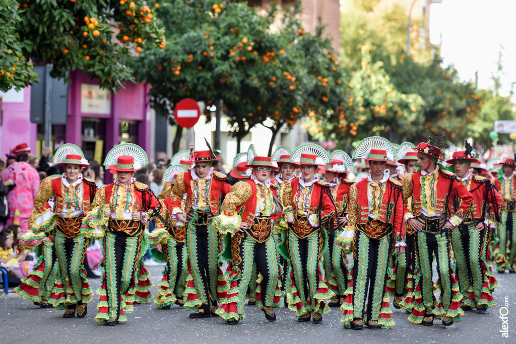 Comparsa Tarakanova - Desfile de Comparsas Carnaval de Badajoz 2019 12