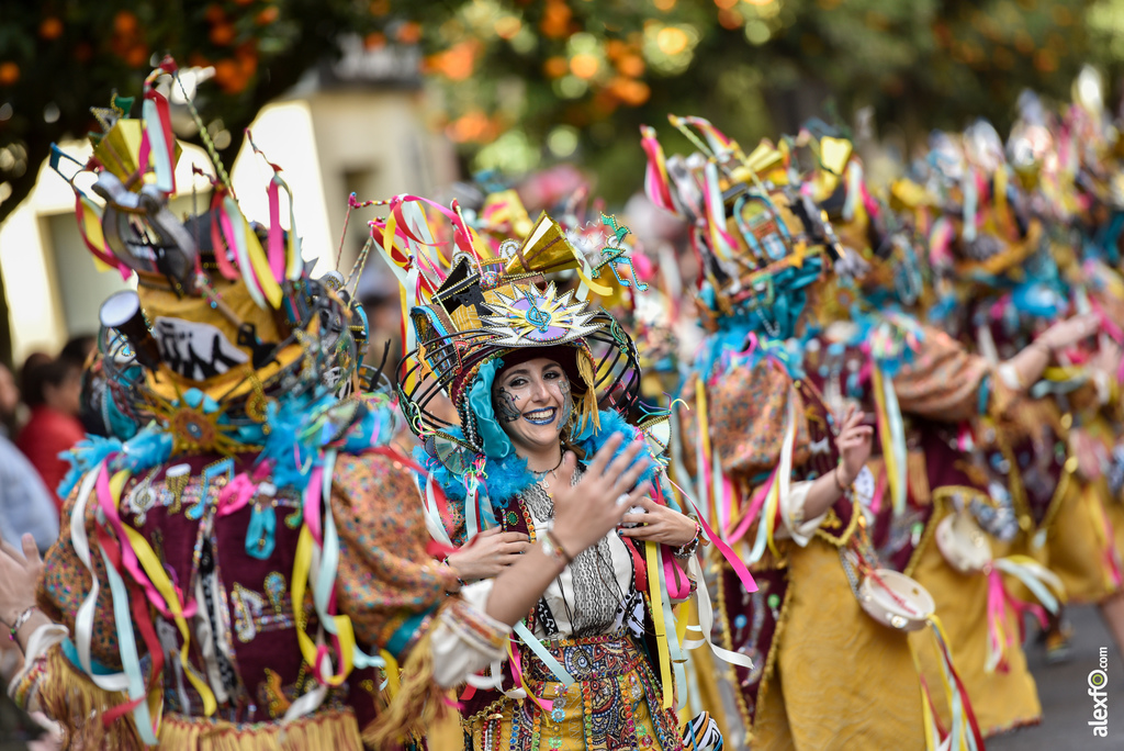 Comparsa Donde vamos la liamos - Desfile de Comparsas Carnaval de Badajoz 2019 5