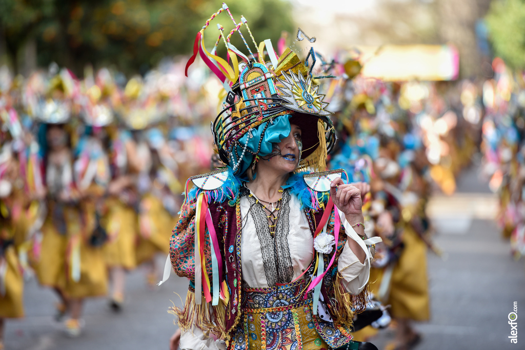 Comparsa Donde vamos la liamos - Desfile de Comparsas Carnaval de Badajoz 2019 2