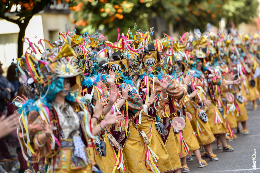 Comparsa Donde vamos la liamos - Desfile de Comparsas Carnaval de Badajoz 2019 7